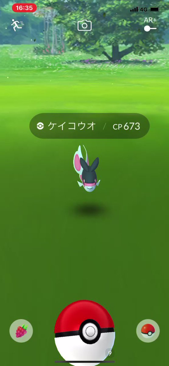 ポケモンgo ケイコウオの入手方法 能力 技まとめ 攻略大百科