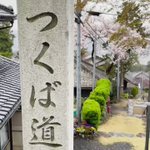 【筑波山江戸屋】のツイート画像