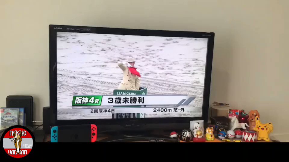 おはようございます
週末競馬はいかがでしたでしょうか

前回のファベル編を公開するきっかけとなったメイショウバンバンさんの名勝負動画をどうぞ

３歳未勝利　フェットデメール編
新潟の平場で大勝負を挑む

果たして…

所々編集にオマージュが入っているのはご愛嬌で🥴

 