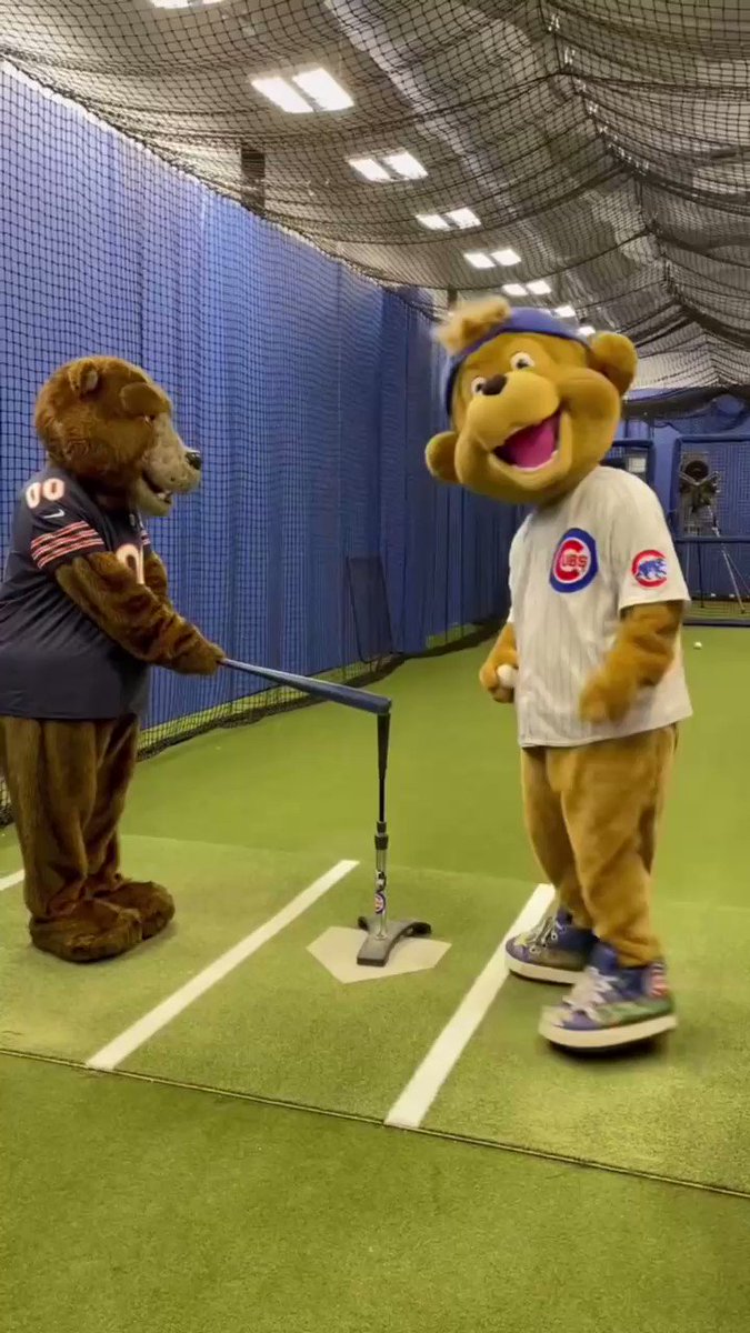 clark the cub deadspin