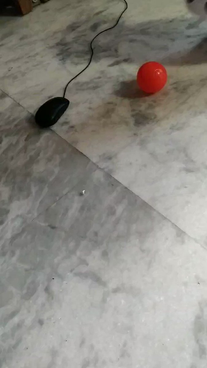 Optimum utilisation of broken mouse.. 
#techpapa #innovation #GreaterThanYouSee @anandmahindra   @tech_mahindra #babies #kids https://t.co/1Jt2qmEkgl