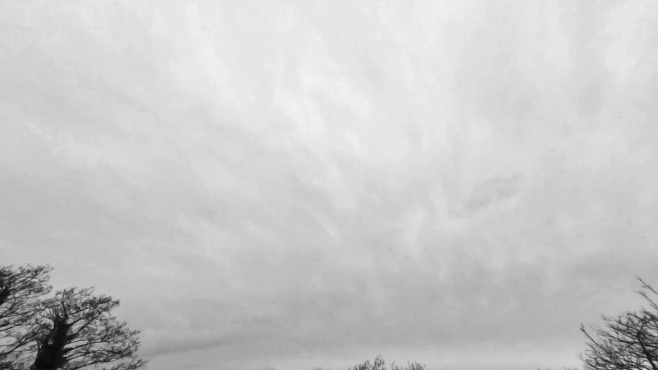 Stew Elliott (StewCElliott) / Twitter