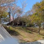 ツイートに含まれる画像