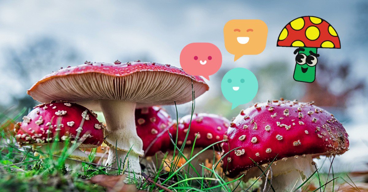 Mushrooms Can Talk To Each Other And Recognize Up To 50 Words! / Twitter