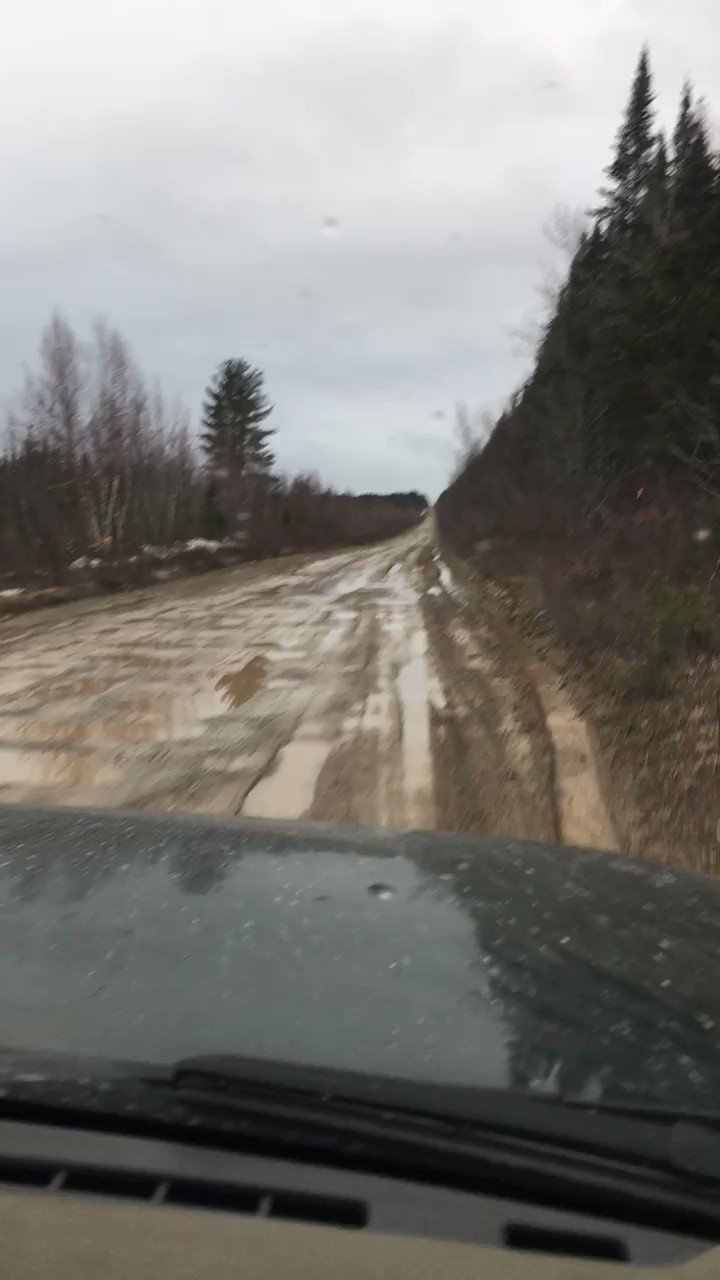 MrsResolutePatriot (Mrs_Resolute) / Twitter