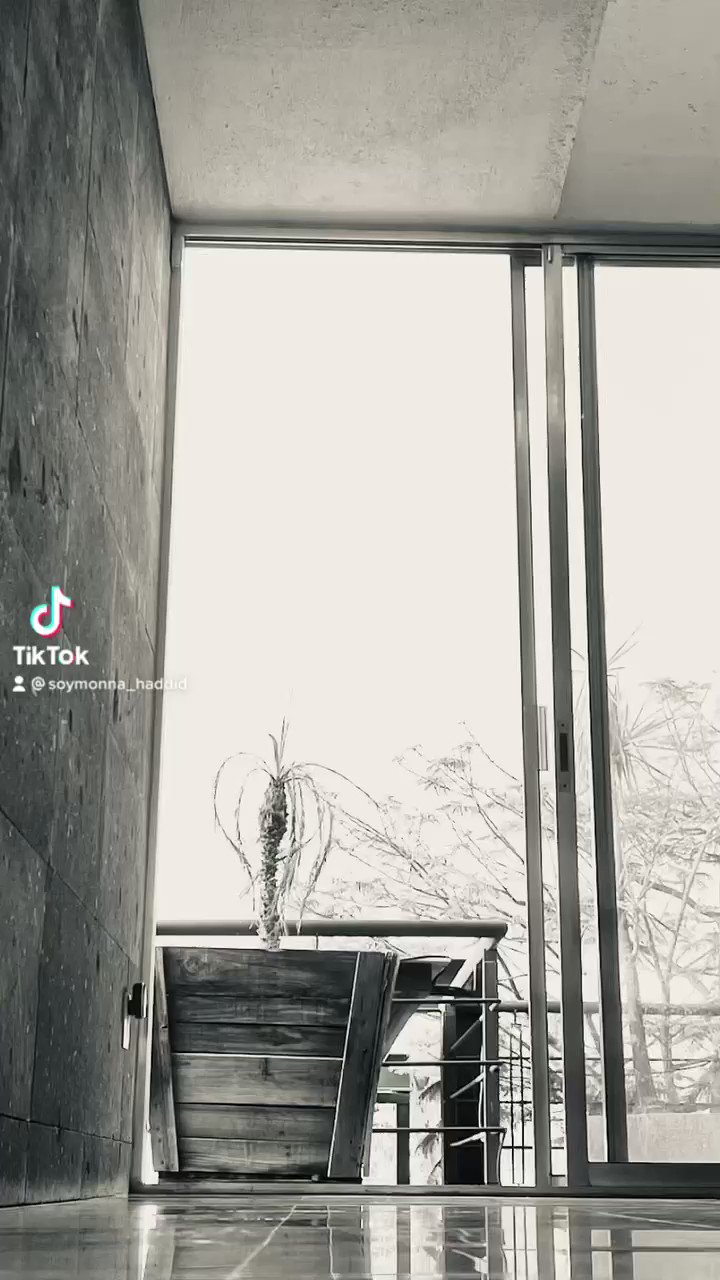 Monna_Haddid on Twitter "https//t.co/FHjZTBeJgg dance onlyfans