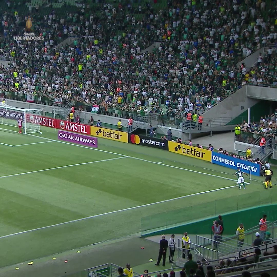 🇧🇷🐷 Pela 2⃣0⃣ª vez, o SE Palmeiras - CONMEBOL Libertadores