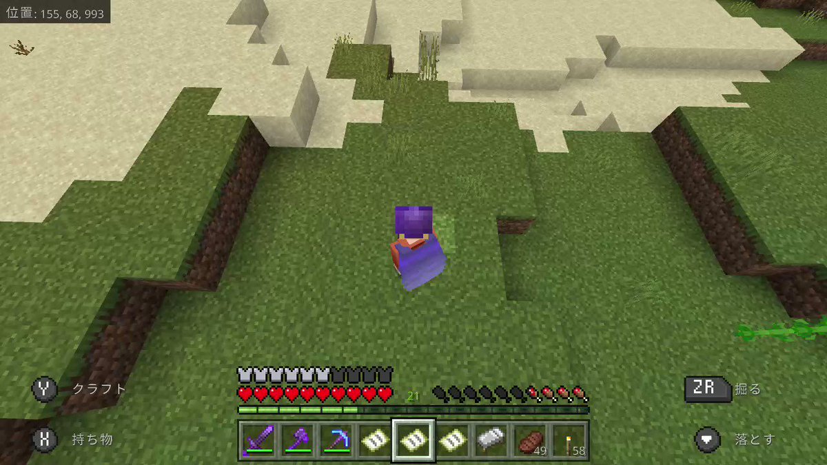 マイクラ村人ニート無職の使い道は 子供産む 転職 処分する マイクラ村人ニート無職の使い道は 子供産む 転職 処分する
