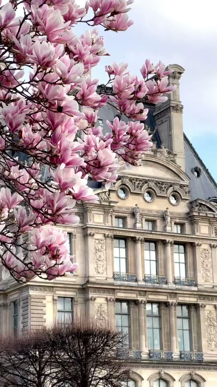O'bon Paris Japan on X: 