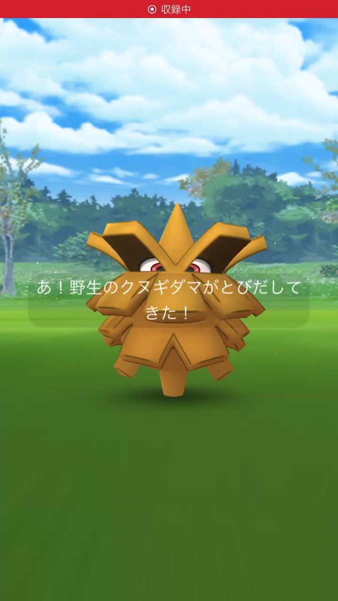 ポケモンgo クヌギダマの色違い 入手方法と実装状況 攻略大百科