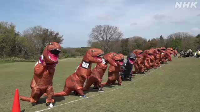 鳥取県大山町で行われた恐竜たちのレースが面白い！！元気に体を動かすって良い事！！