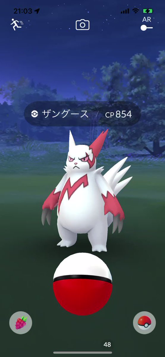 ザングース Twitter Search Twitter