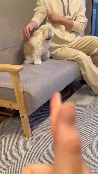 かわいすぎて気絶しそう♡愛犬の対応が天才すぎる