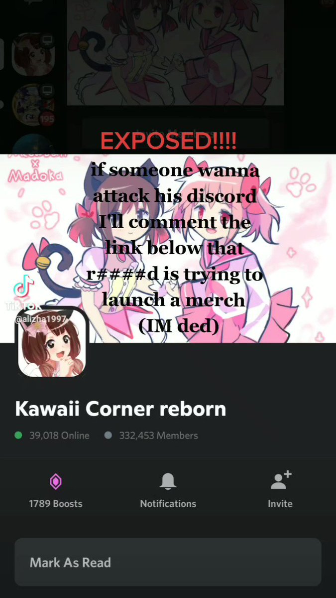 Lizhy @ twitch.tv on X:  go check that r####d and  also attack his discord, his trying to drop merch #meowbahh #meowmid  #cancelmeowbahh  / X