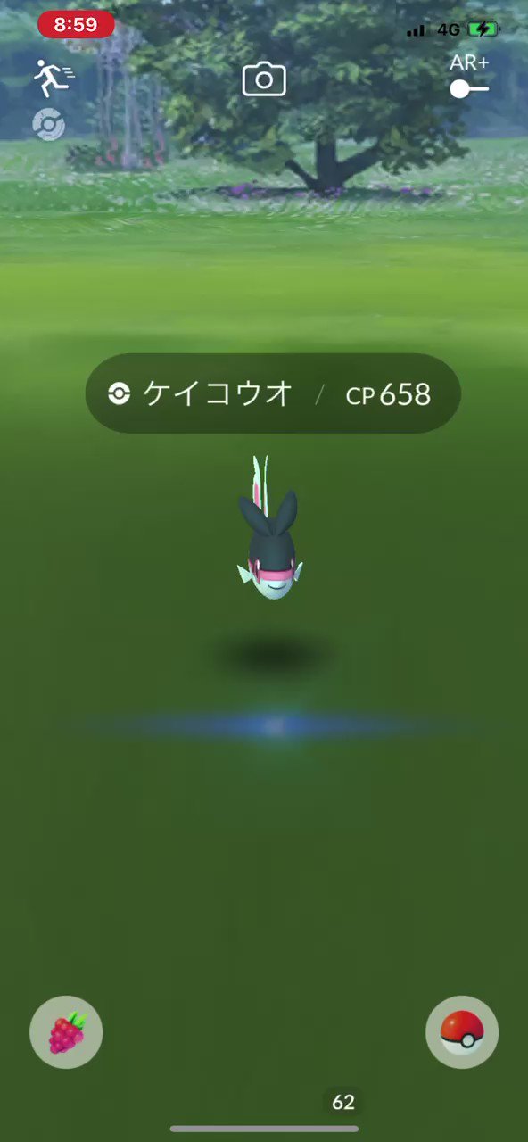 猫の飼い主 ポケモンgo ケイコウオをエクセレントスローで捕まえた ワンショットで捕まえた Cp658 T Co Eobzlnxpgn Twitter 猫の飼い主 ポケモンgo ケイコウオをエクセレントスローで捕まえた ワンショットで捕まえた Cp658 T Co Eobzlnxpgn Twitter