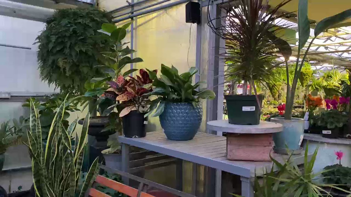 rochester sports garden app