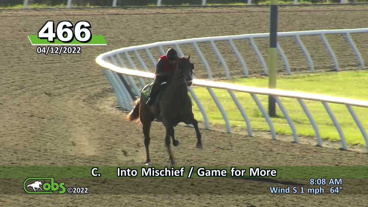 Mitsu Nakauchida(中内田充正)名義で落札された外国産馬の所有者

2019
ヒノシタカイザン→山紫水明
マテンロウベントス→寺田千代乃氏

2014
マテンロウゴースト→寺田千代乃氏

ダノックスさんだと法人名義かエージェントに名義だと思うので、今回も寺田ご夫妻と予想しますが。情報集めます。
#POG 