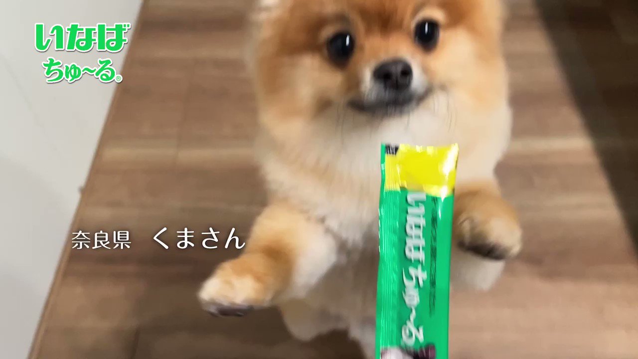 いなば Inabaちゅ る Inaba Campaign Twitter