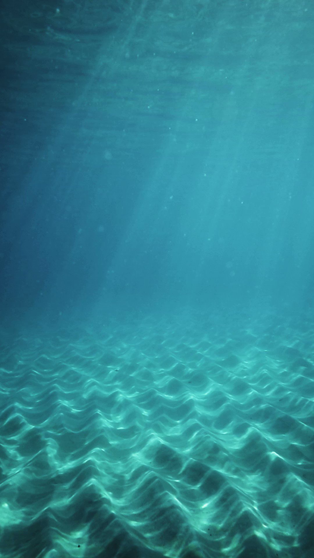 Hisho ken (hisho_321) / Twitter