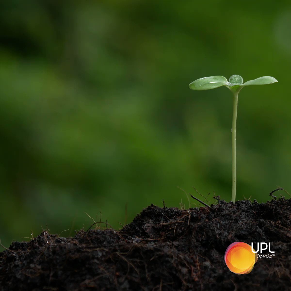 UPL on Twitter: UPL on Twitter: