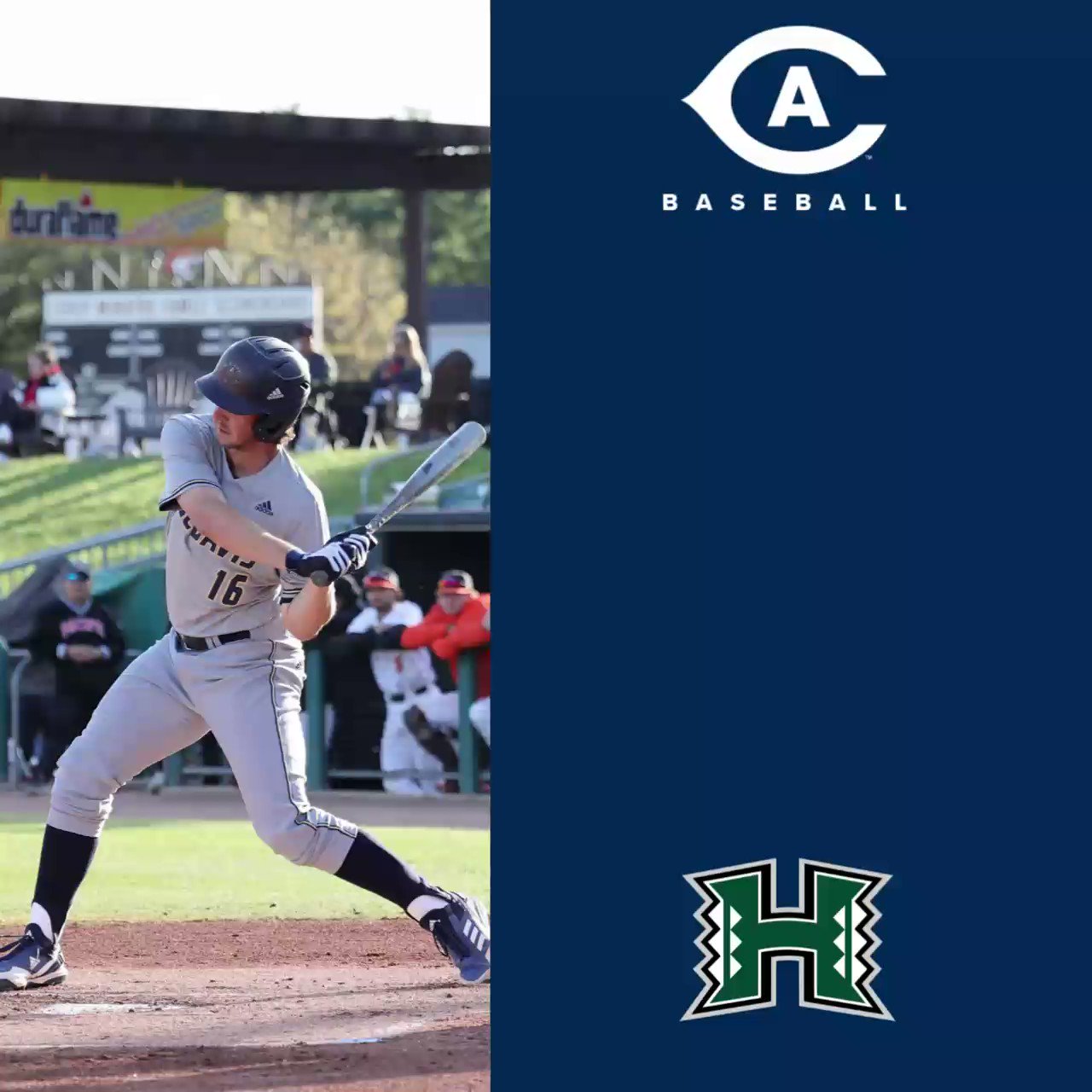 UC Davis Baseball (ucdavisbaseball) / Twitter