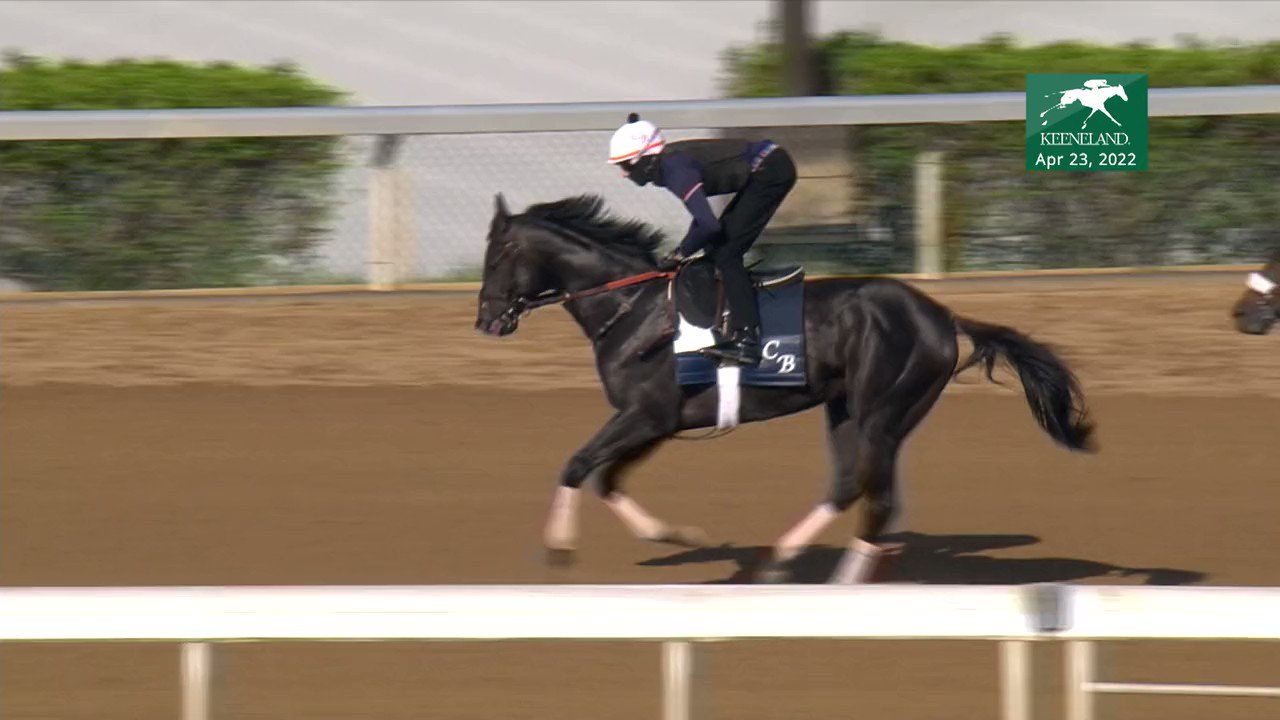 Keeneland Racing on Twitter "Watch Kentucky Derby contender and Toyota