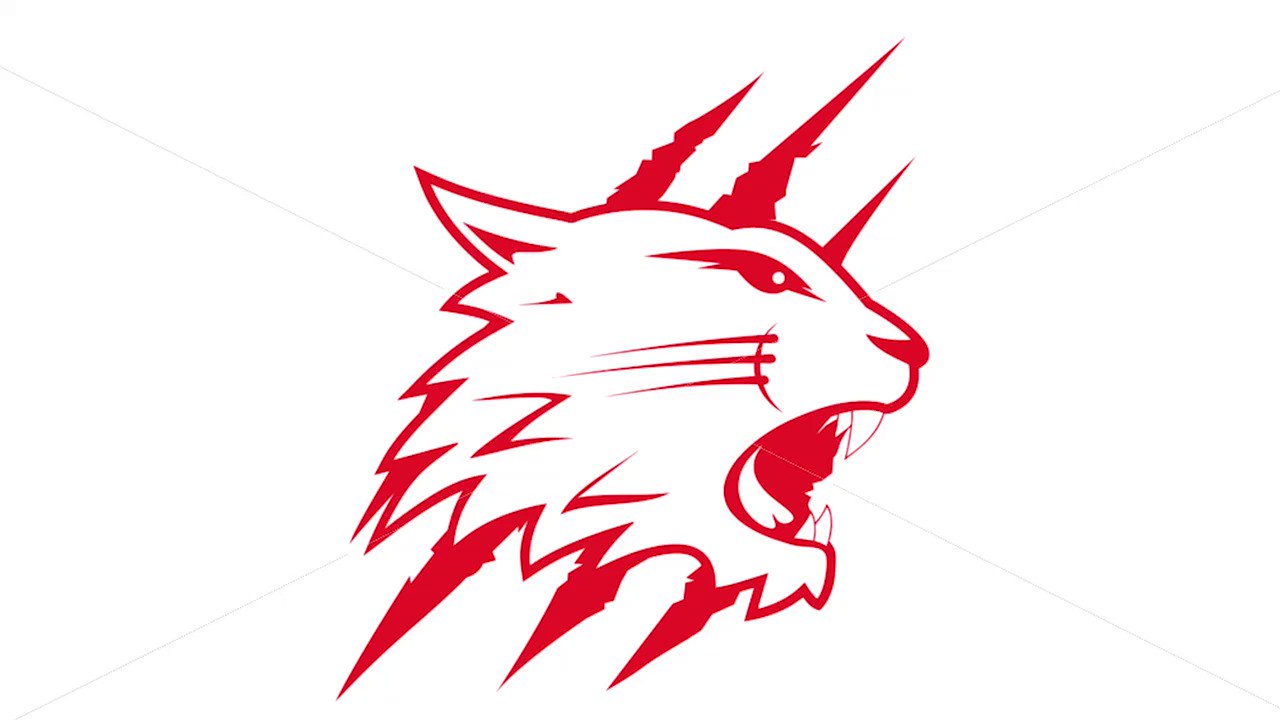 WILDCATS SECURE THE SIGNATURE OF CZECH FORWARD EMIL SVEC – Swindon Wildcats