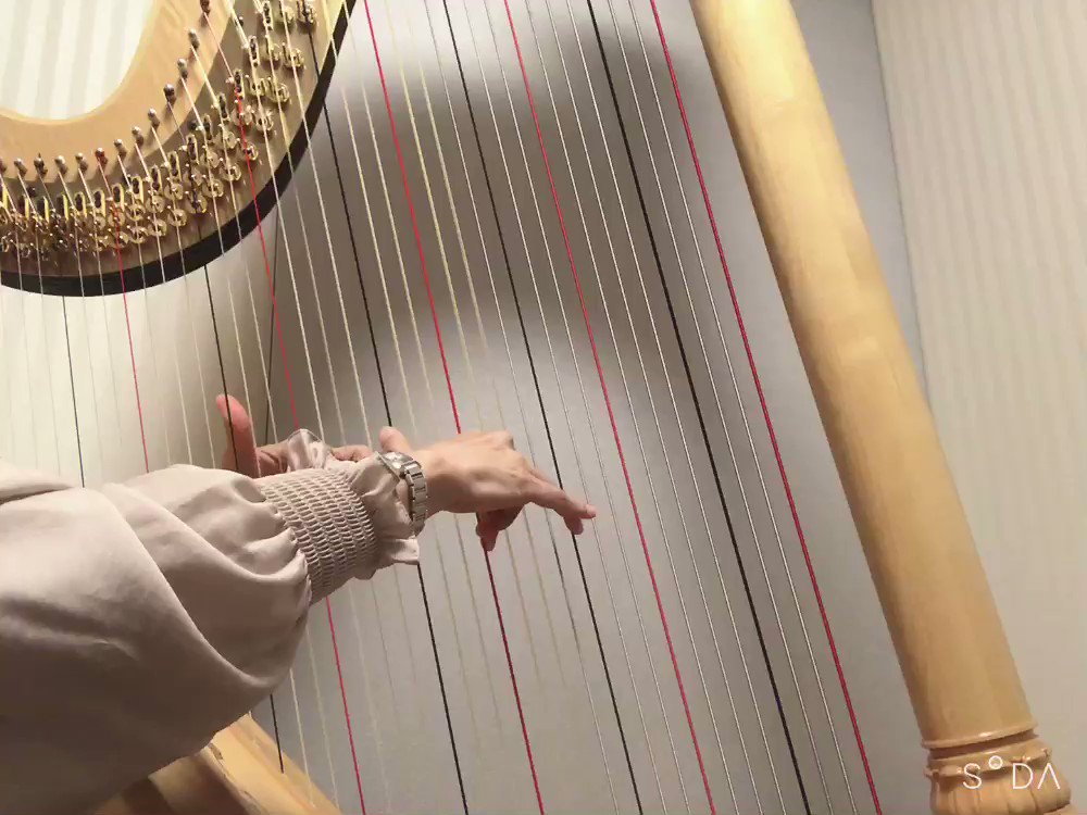 Salvi 34弦ハープ 本体 3年保証】 Salvi Harps MIA ～34弦のスタンダードモデル