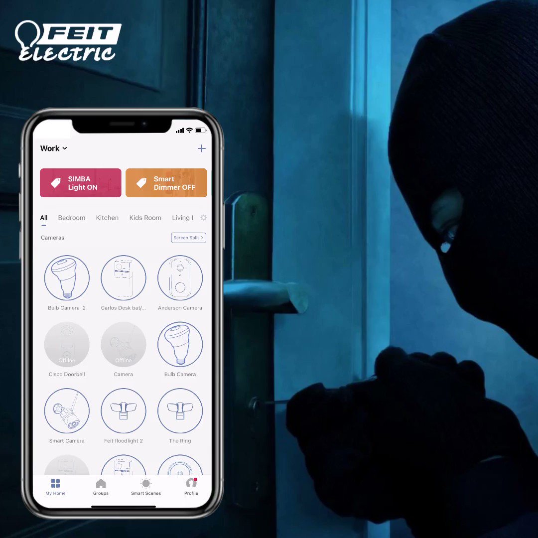 Feit 2024 electric app