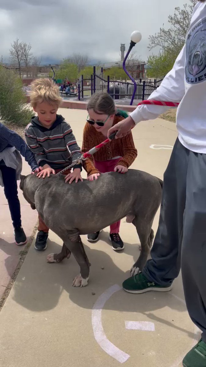 Josh Watson (@JoshWatson40)  X