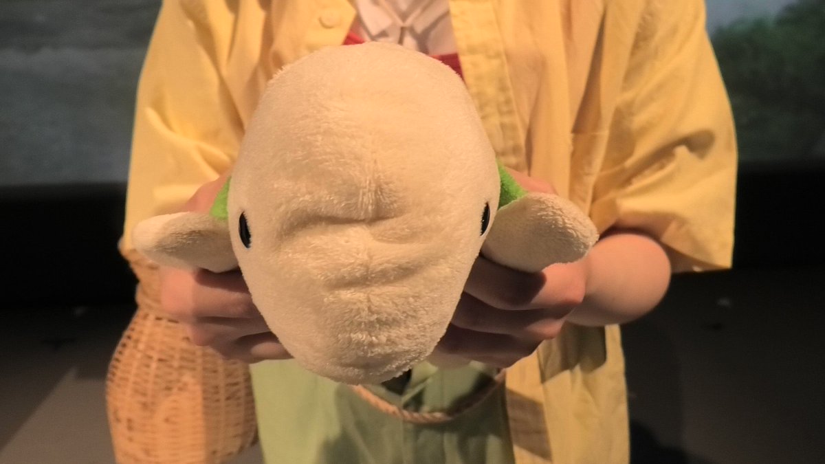 がよかった 腹話術人形 ロゴス腹話術 aZrxn-m78359259205 これから