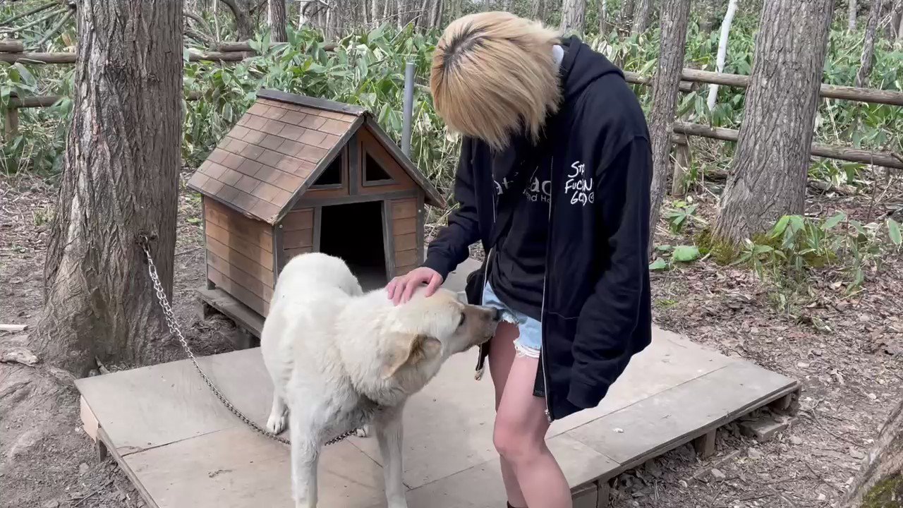 バター 犬 画像