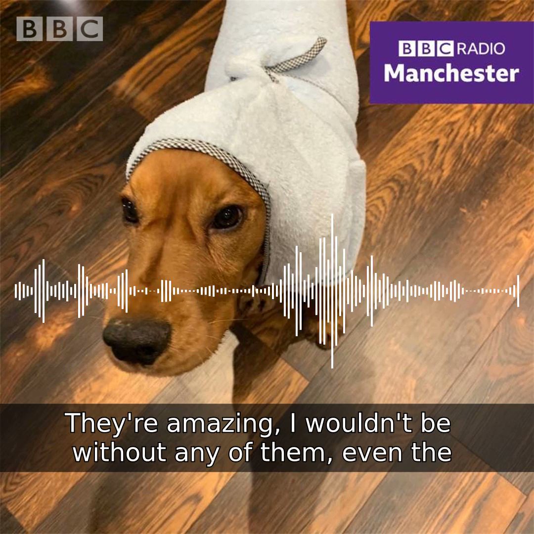 Have girl sex dog in Manchester