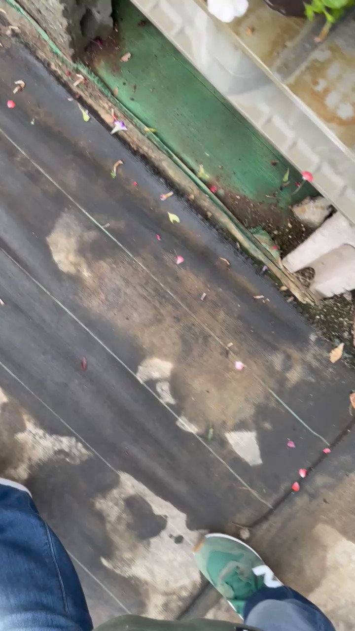 nessa gasoline ⛽ on Twitter "hilo del cover Kira Kira de Onew