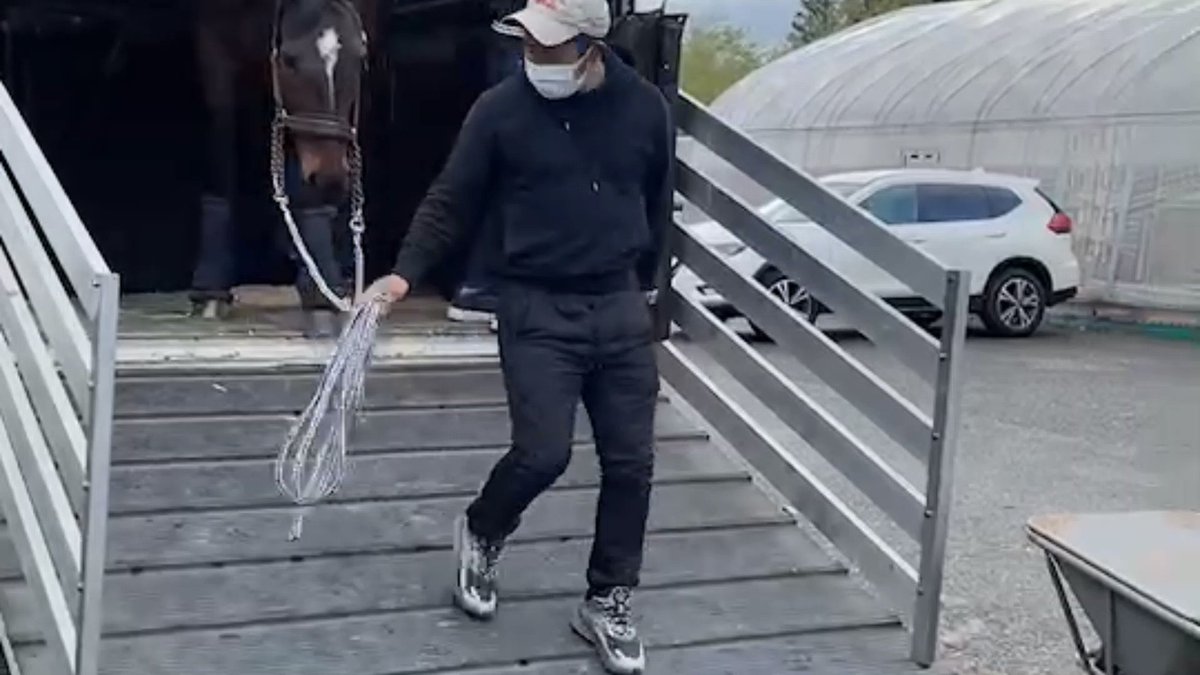 皐月賞2着 平成最後のダービー世代サンリヴァル号。

つまりコマンドール世代‼️サンリヴァル号頑張って
💪🏻( ¨̮ 💪🏻) 