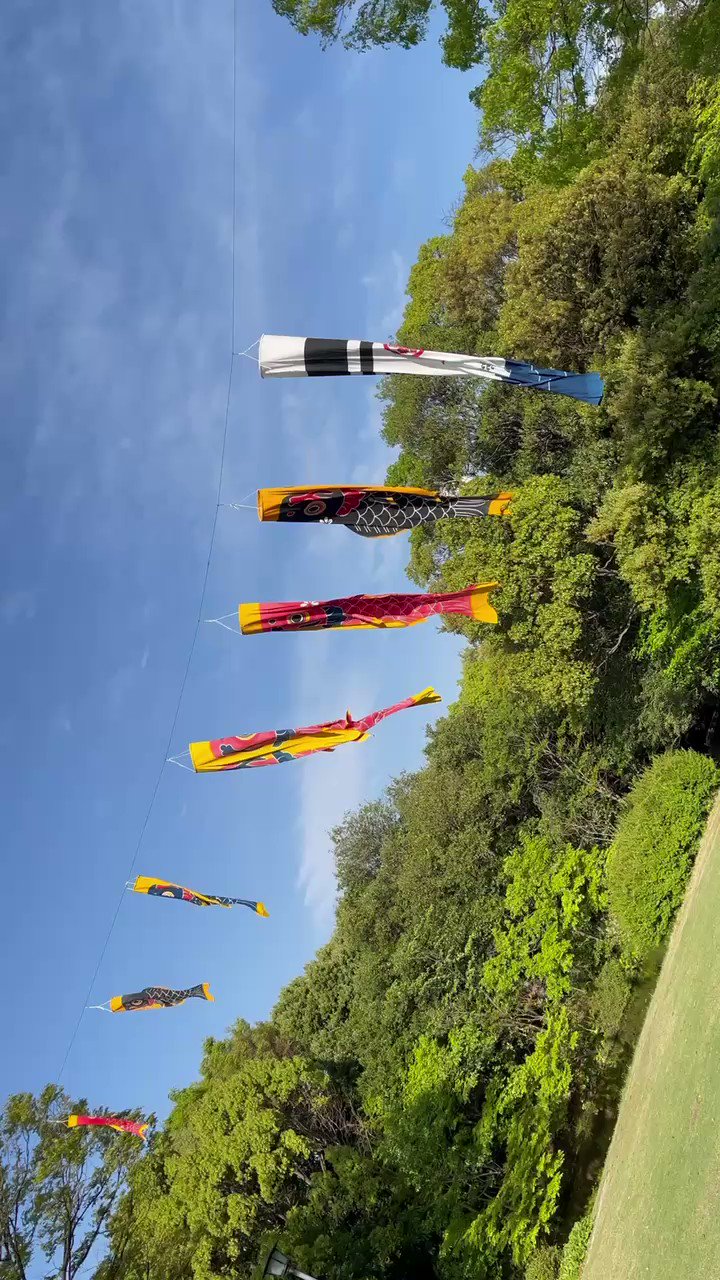 nessa gasoline ⛽ on Twitter "hilo del cover Kira Kira de Onew