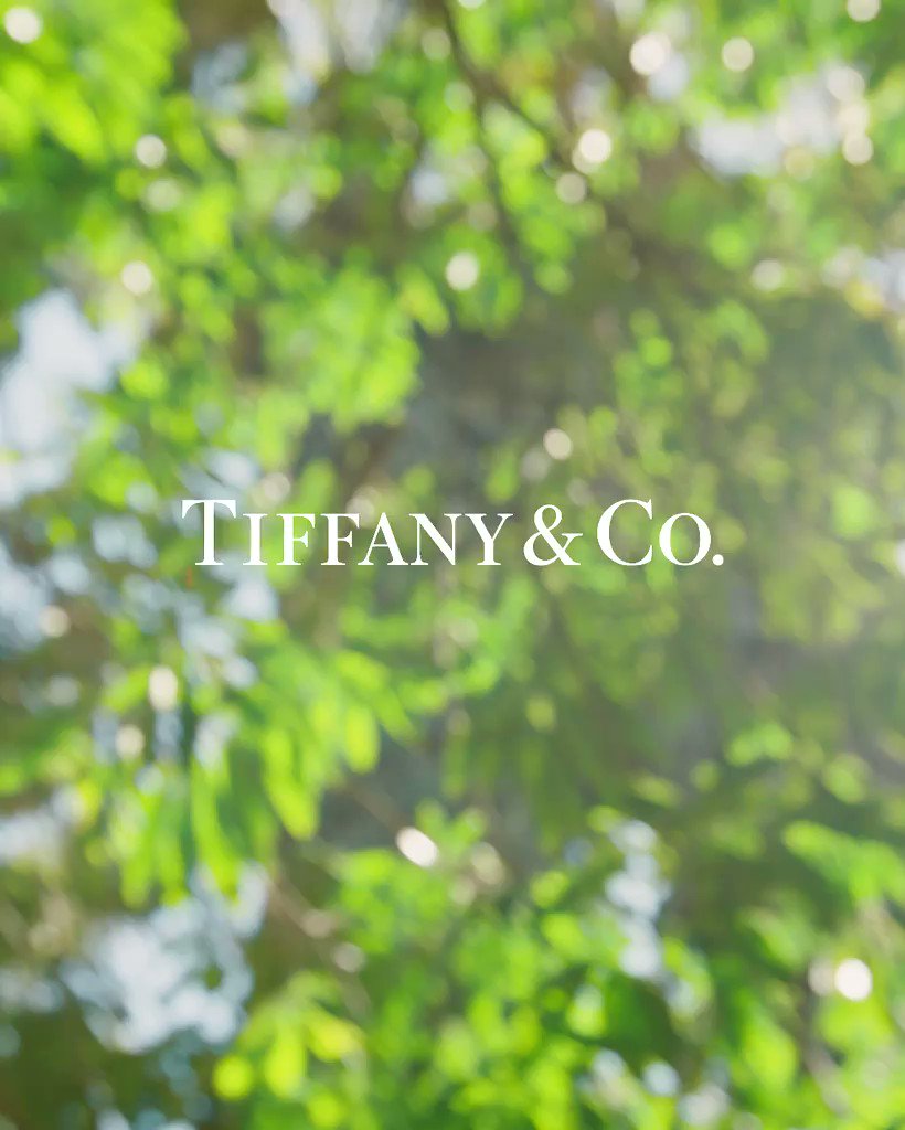 Tiffany & Co. on Twitter: 