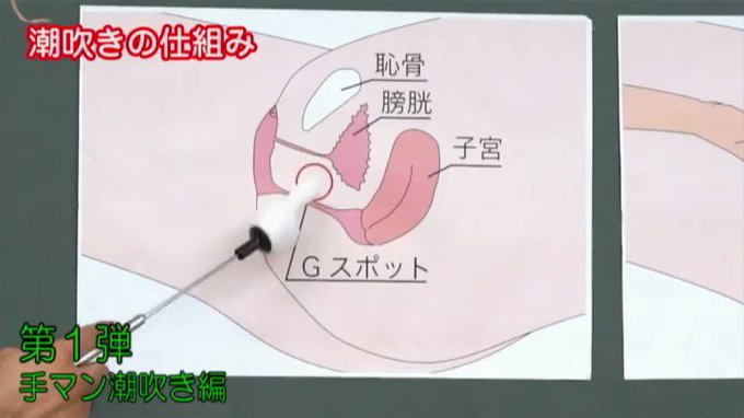 AV男優しみけんのスーパーSEX講座！潮吹き編・クンニ編・体位の4連コンボ編収録 
https://t.co/tc2aUlmnvT