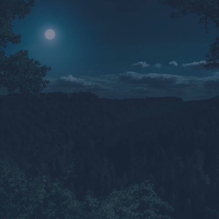 Cot Addis Hotel (CotHotel) / Twitter