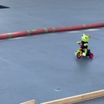 【必死‼】激可愛かえるのピクルス、サーキットを攻める!