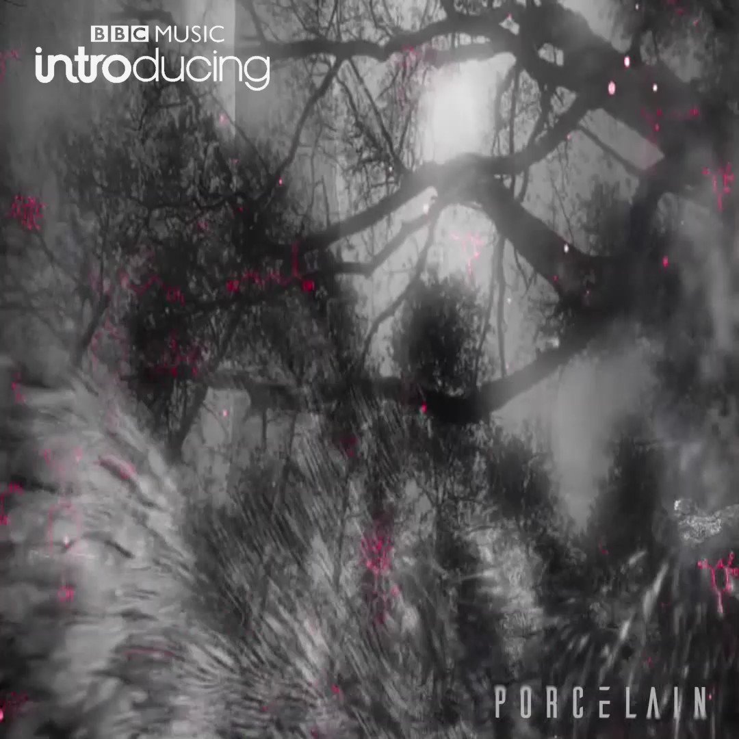 Porcelain (@thisisporcelain)  X