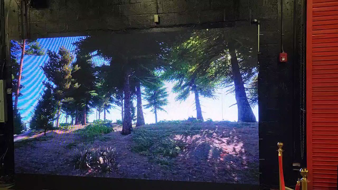 Sportsfan (Sportsf15647300) / Twitter