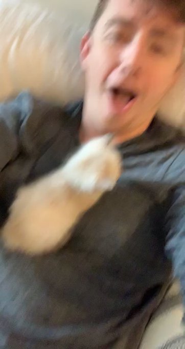 Guys look at this nuggy I got to meet today 😩 https://t.co/YbQUoRhT0r<a href="/tag/photography"class="tags"><span>#photography</span></a><a href="/tag/dslr"class="tags"><span>#dslr</span></a>