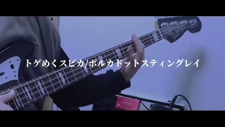 やまも Bayamamo Twitter