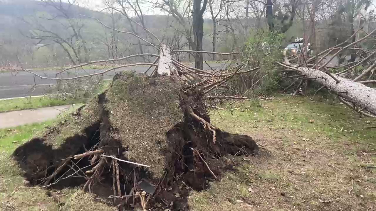 Kirsten Mitchell on Twitter "Dan Brown was told the vast majority of