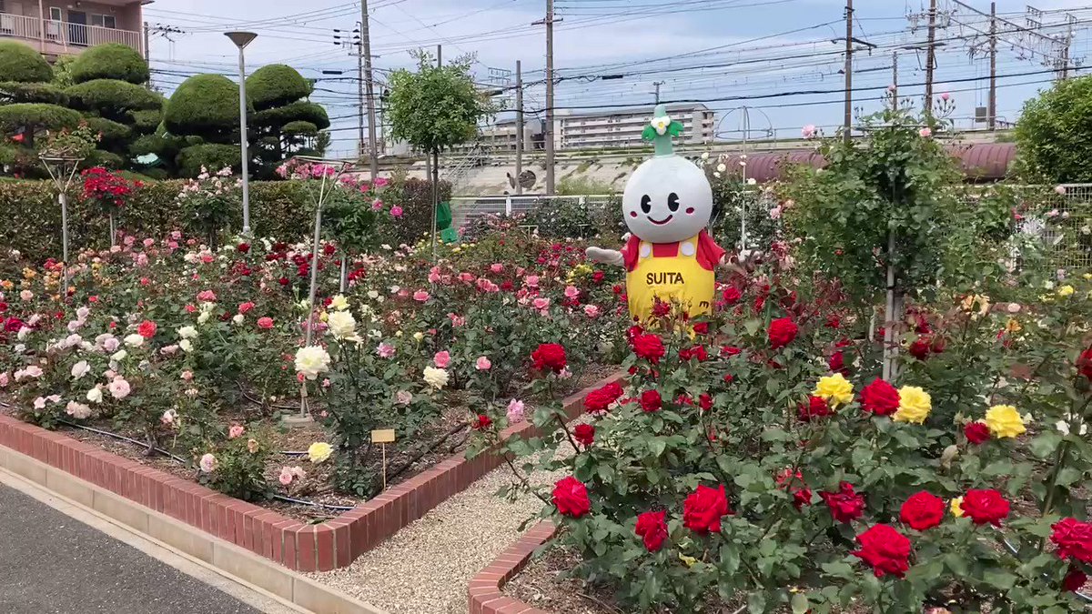 ばら園 Twitter Search Twitter ばら園 Twitter Search Twitter