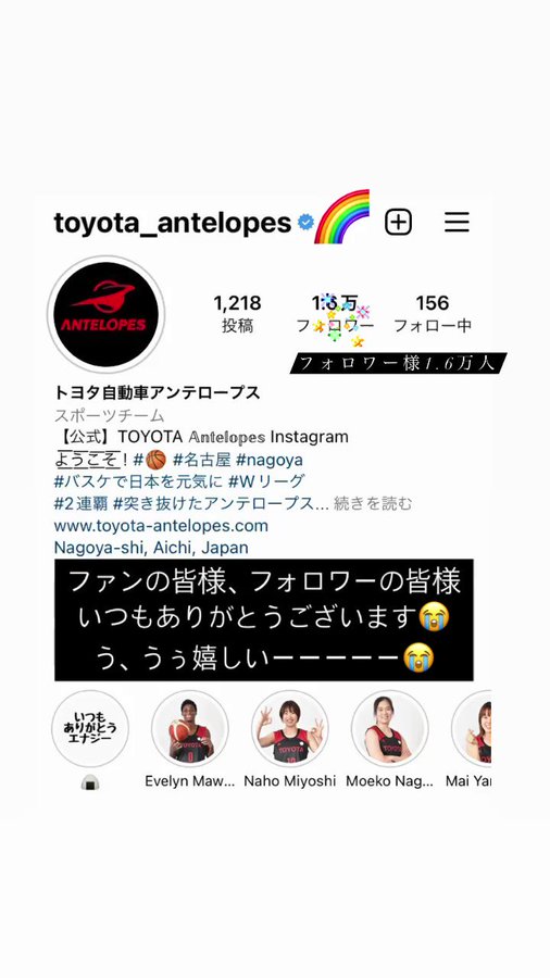 Toyota 女子バスケットボール部 Antelopes Top