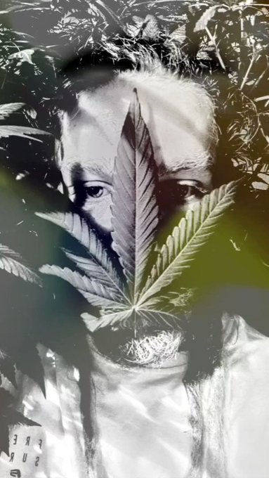 Ela vive assaltando minha floricultura 🪴  #rastaxxbrasil #420community #altmodel #alternative #alternativestyle<a href="/tag/rastaxxbrasil"class="tags">#rastaxxbrasil</a><a href="/tag/lifestyle"class="tags"><span>#lifestyle</span></a><a href="/tag/altmodel"class="tags"><span>#altmodel</span></a><a href="/tag/alternative"class="tags"><span>#alternative</span></a><a href="/tag/alternativestyle"class="tags"><span>#alternativestyle</span></a>