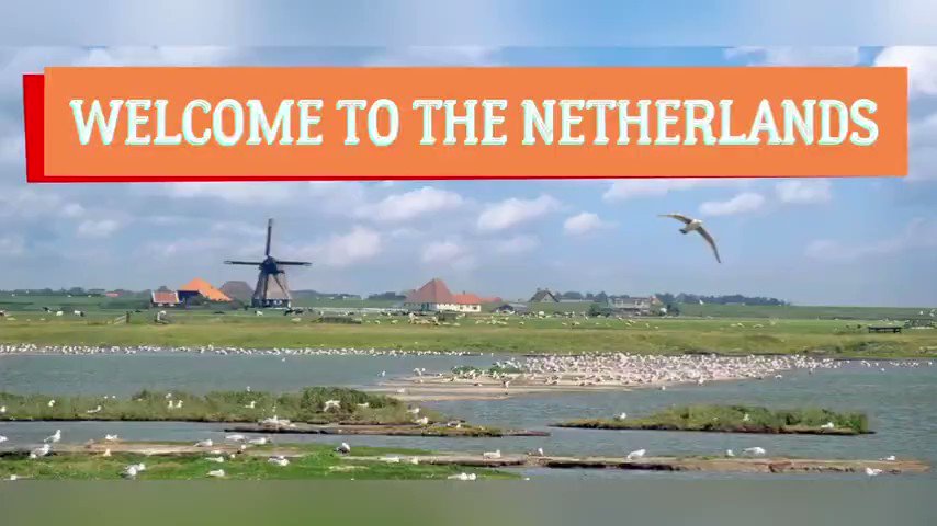 🧵Part 1/6
‼️⚠️The Netherlands = Pedophiles paradise where the politics can get away with it🤬