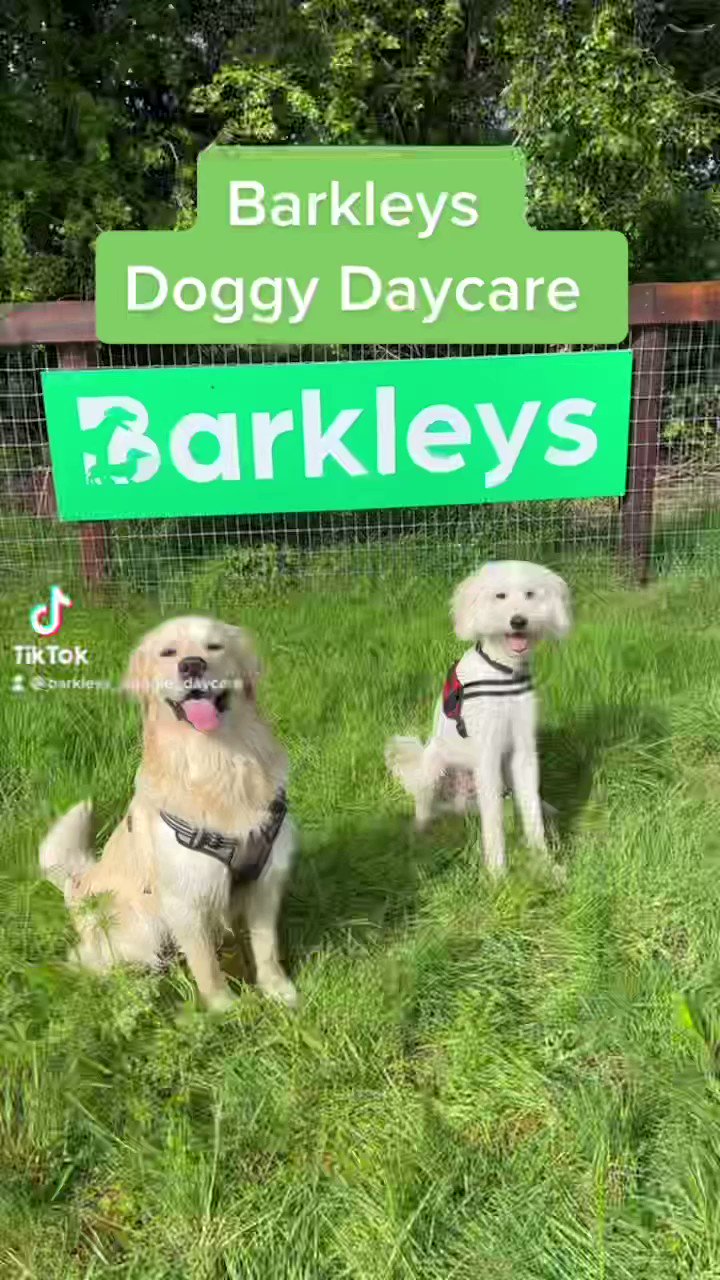 Barkley dog daycare sales